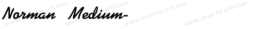 Norman   Medium字体转换